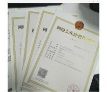 软件与网络文化经营 数字化浪潮中的融合与挑战